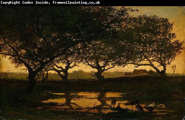 Gerard Bilders Woodland pond at sunset